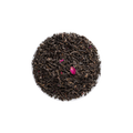 Rosa da China